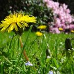 Actividades de Montaña en un Campamento de Verano
